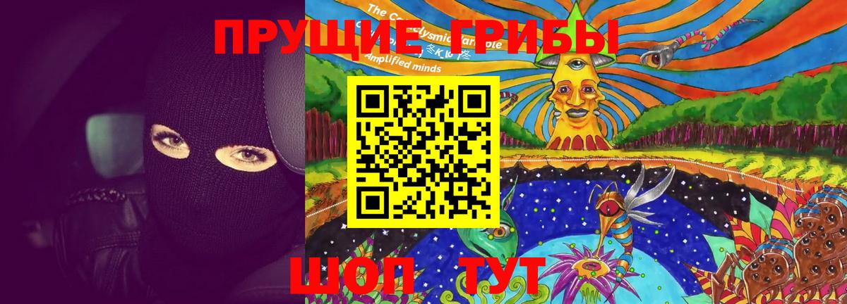 Кольчугино  Псилоцибиновые грибы MAGIC MUSHROOMS  Вход с VPN 
